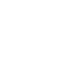 Partners icon